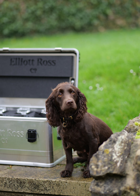 Elliott Ross Co Gift Card